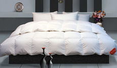 最新 富麗真金家紡產品怎么樣 參數 圖片大全 美樂樂家居網